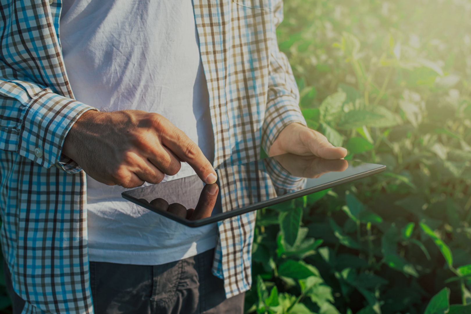 Agricultural Compliance