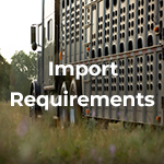 Import Requierments Image