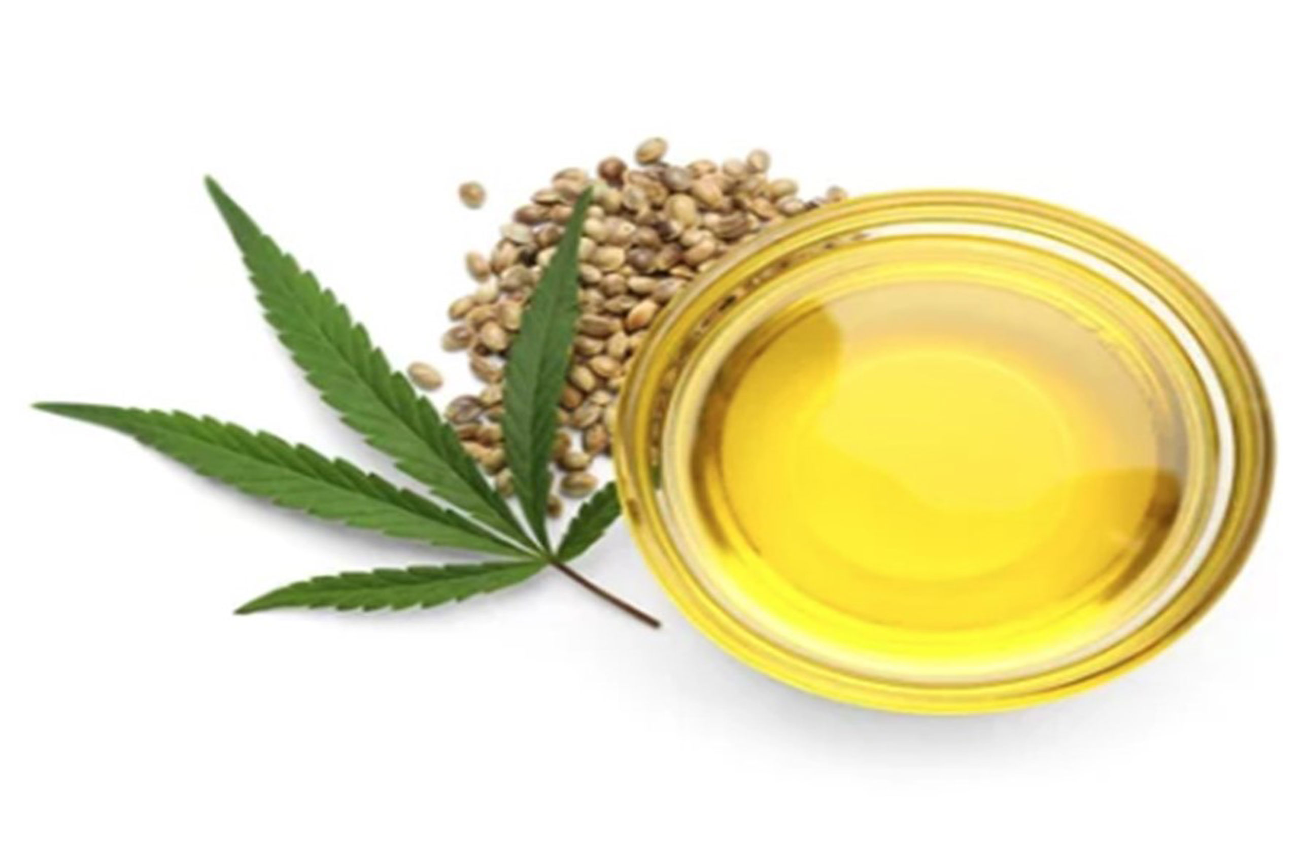 Hemp Quarterly Newsletter