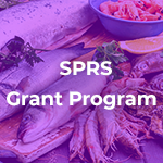 SPRS Grant Icon Purple