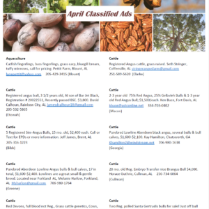 April 2025 Classified Ad Pg 1