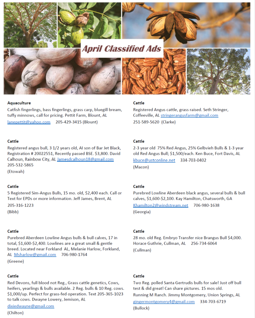 April 2025 Classified Ad Pg 1